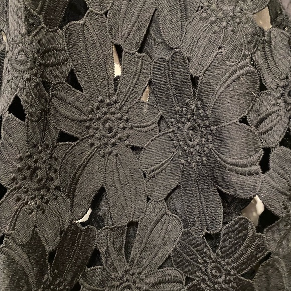 ACEMI Anthropologie *black* lace crop top - Picture 3 of 5